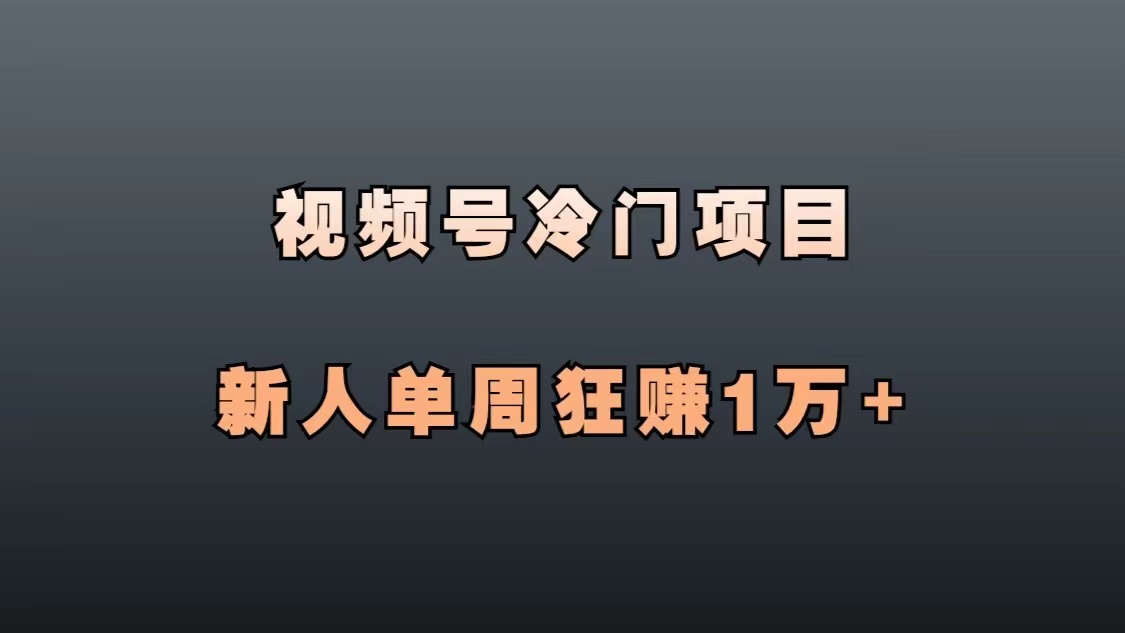 图片[3]-视频号冷门项目，一单净利润36元，新人单周狂赚1万+