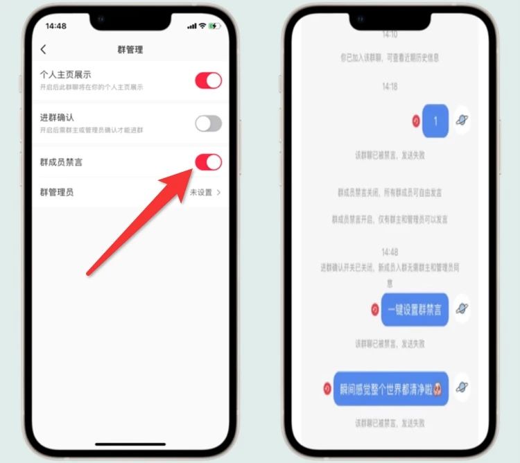 小红书虚拟项目 小红书虚拟项目