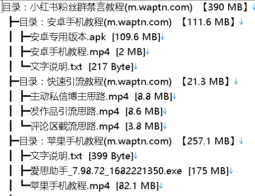 小红书虚拟项目 小红书虚拟项目